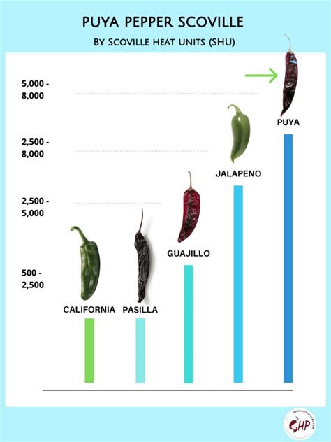 Chile Puya 101 About This Deliciously Spicy Mexican Pepper How To