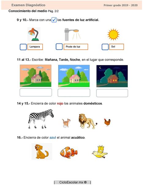 Examen diagnóstico primer grado 2019 2020 Artofit