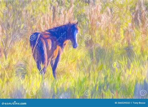 Horse in a Field Colored Pencil, Painting Stock Photo - Image of field ...