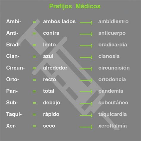 Cambiable Lograr Pegar Prefijos Y Sufijos De Anatomia Temporizador