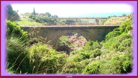 Vieux Pont De L Oued Kamhoun Algerie Environnement Biodiversit