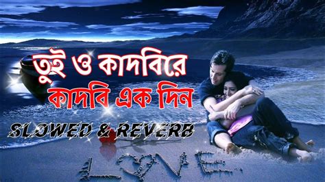 বঝব তই কদব তই Bujbi tui kadbi tui Lofi Remix Slowed Reverb