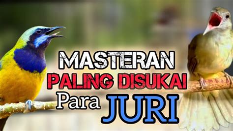 Masteran CUCAK CUNGKOK VS KAPASTEMBAK Disukai Para Juri Di Gantangan