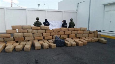 Federales Decomisan Casi Una Tonelada De Marihuana En Sonora