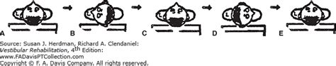 Barbecue Roll Horizontal Bppv Bios Pics