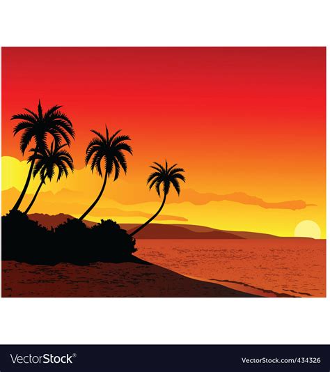 Tropical beach Royalty Free Vector Image - VectorStock