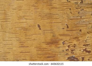 High Detailed Teak Wood Pbr Texture Stock Photo 1736399201 Shutterstock