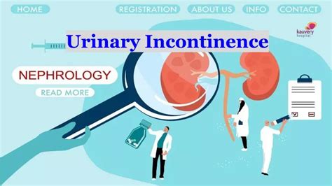 Ppt Urinary Incontinence Powerpoint Presentation Free Download Id 10908919