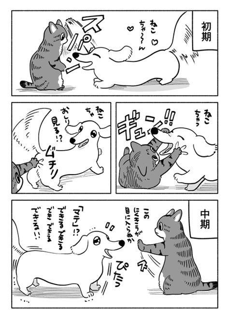 「犬猫の成長 」ちとせの漫画