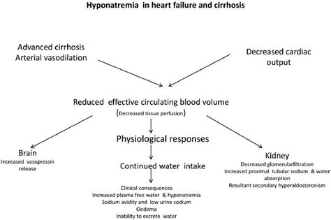 Hyponatremia Mechanism