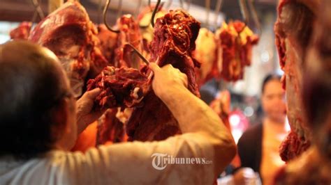 Ton Daging Kerbau Impor Diyakini Bisa Tekan Harga Daging Sapi