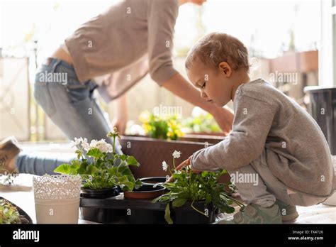 Frauen auf dem balkon Fotos und Bildmaterial in hoher Auflösung Alamy