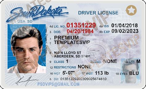 Drivers License Templates Templates Drivers Licenses Premium