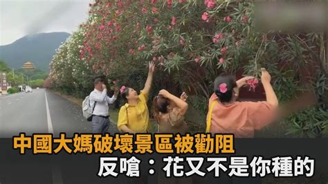 態度囂張！中國大媽景區內狂摘花被勸阻 惱羞怒嗆：又不是你種的－全民話燒 Youtube