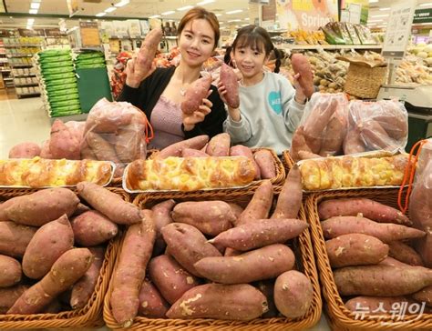 Nw포토 이마트 이번엔 ‘해남 못난이 왕고구마 판매 뉴스웨이