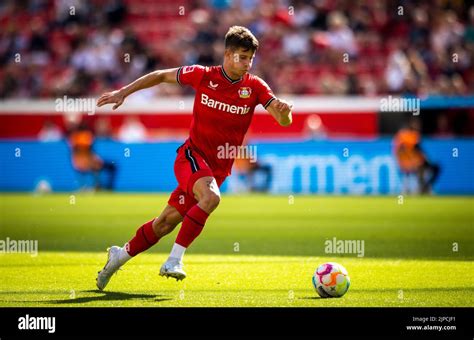 Adam Hlozek Leverkusen Bayer Leverkusen Fc Augsburg