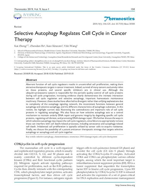 Pdf Selective Autophagy Regulates Cell Cycle In Cancer Therapy Cell