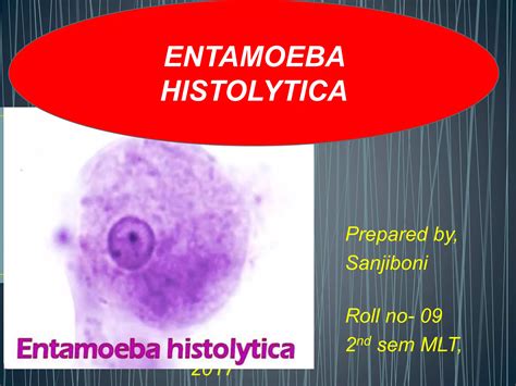 Entamoeba Histolytica Ppt