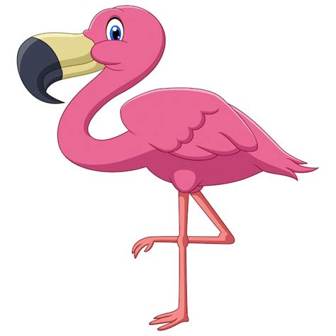 Premium Vector | A cute pink flamingo bird cartoon