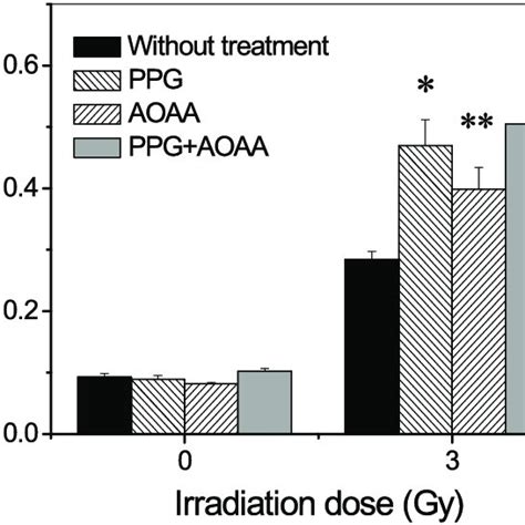 Induction Of Mn In The Hypoxic Hepg2 Cells Irradiated With 3 Gy γ Rays