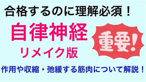 【10分で解説・8分で国試問題】自律神経について解説 Youtube