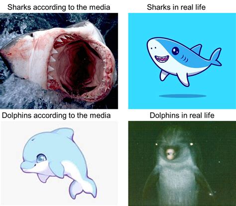 Types of Sharks: Exploring the Fascinating World of these Ocean Predators