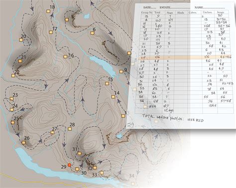 Open Range Counting Wild Deer Best Practice Guidance