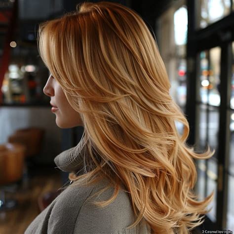 Low Lights For Blonde Hair Ideas