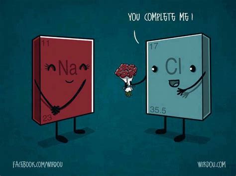 NaCl Chemistry Puns Chemistry Classroom Teaching Chemistry