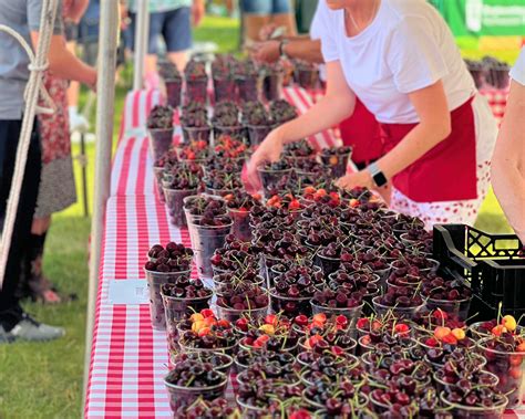 10 Michigan Festivals to Visit this Year - MI Ag Council