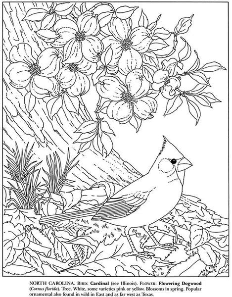 State Birds And Flowers Coloring Book Miller Pads And Paper