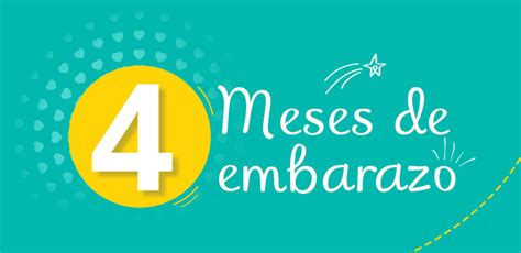 4 Meses De Embarazo Síntomas Y Qué Le Ocurre Al Bebé Pampers® Latam