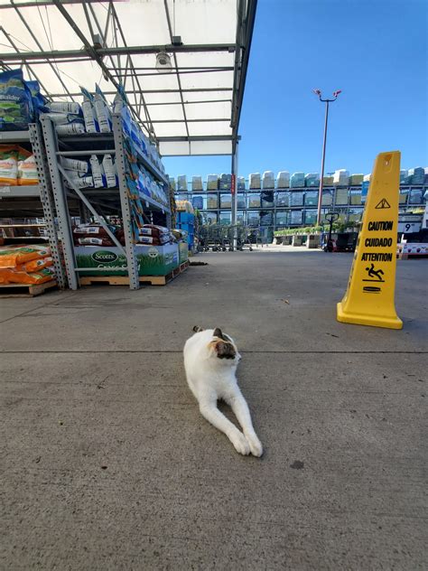 The hardest worker on her lunch break! : r/rva