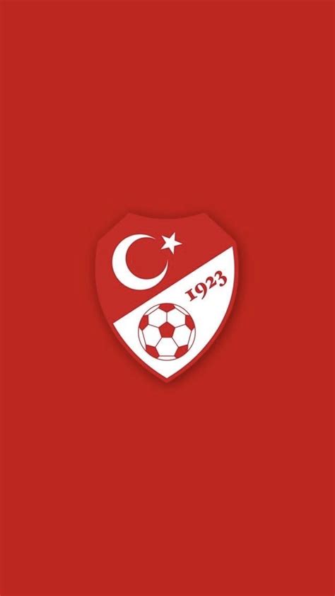 A Soccer Ball With The Turkish Flag On It S Back And An Emblem In The