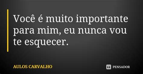 Voc Muito Importante Para Mim Eu Aulos Carvalho Pensador