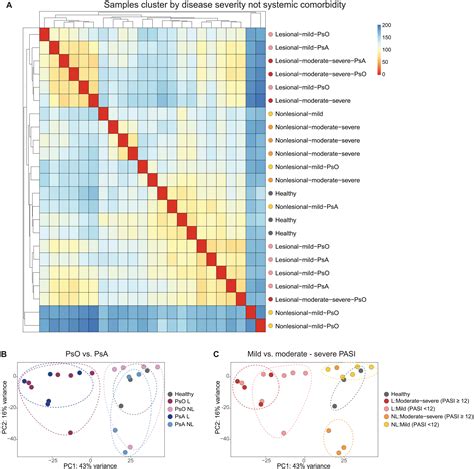 Spatial Transcriptomics Stratifies Psoriatic Disease Severity By