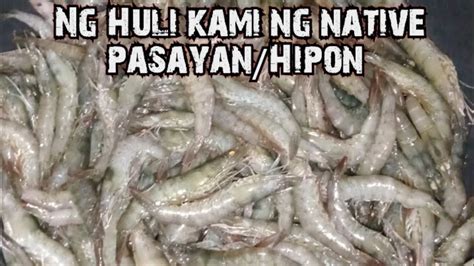 Nanghuli Kami Ng Native Pasayan Hipon Malakiexplorervlogs Explore