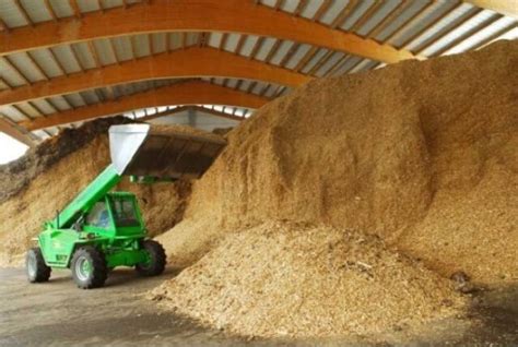 Energia Da Biomasse Cos Come Funziona E Come Si Produce