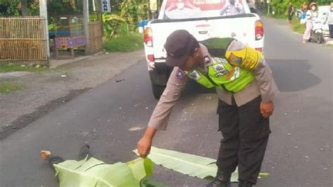 Jatuh Usai Senggolan Pengendara Motor Di Blitar Tewas Terlindas Trail Pns