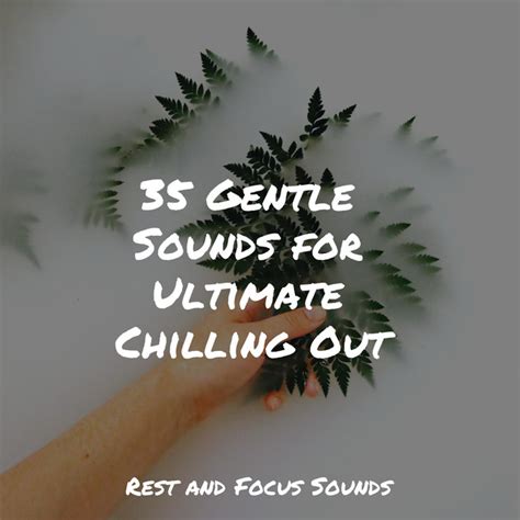 Gentle Sounds For Ultimate Chilling Out Album By Asian Zen Spa