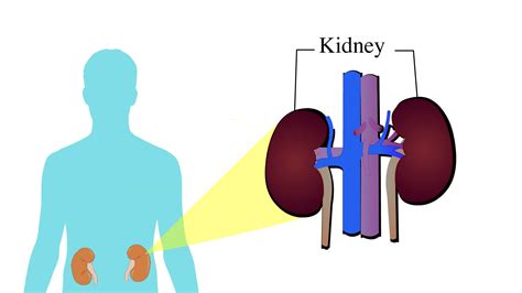 What are three possible causes of hypertension? | CircleCare