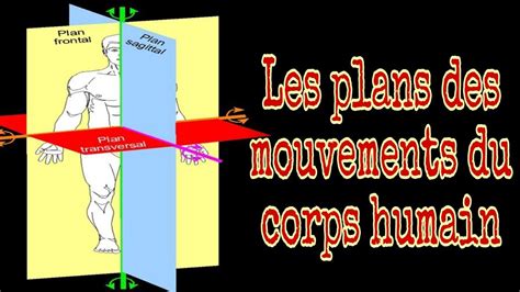 Les plans des mouvements plans de référence anatomique avec animation