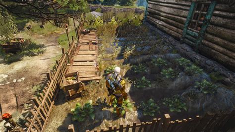 Understanding The Witcher 3s Lore Through Its Plant Life