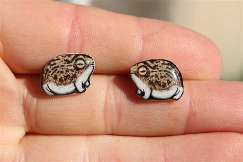 Desert Rain Frog Earrings : Gift for Frog Lovers Cute Animal - Etsy