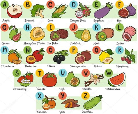 Alfabeto De Colores Para Niños Frutas Y Verduras Vector Gráfico