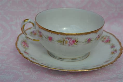 Limoges Tea Cup And Saucer Bawo And Dotter Elite Works Rose And Daisy