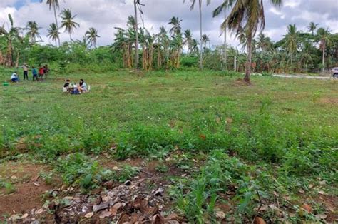 Farm Lot For Lease In Magallanes Cavite For Vacation Rental Business Or