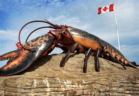 Worlds Largest Lobster Shediac New Brunswick Atlas Obscura