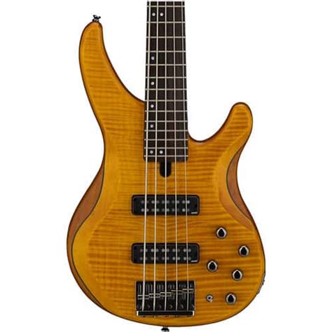 The 9 Best 5 String Bass Guitars The Ultimate 2022 Guide