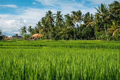 Destinasi Wisata Gorontalo Paling Hits Dijamin Banyak Kegiatan Seru